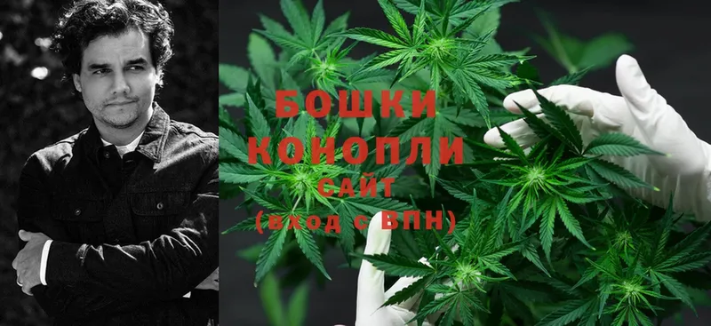 Шишки марихуана White Widow  Кингисепп 